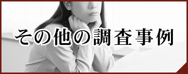 その他の調査事例